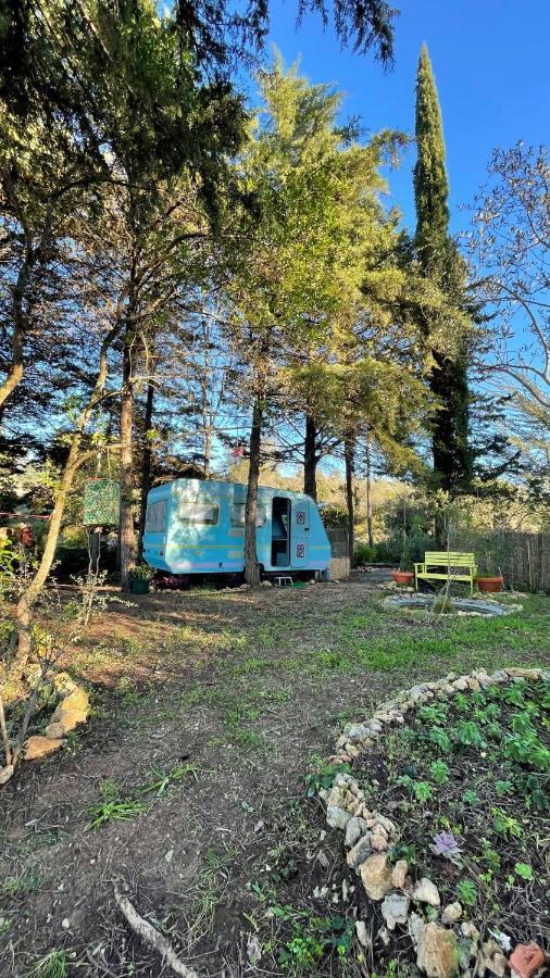 Ir Por Ai Arrabida Hotell Azeitao Exteriör bild
