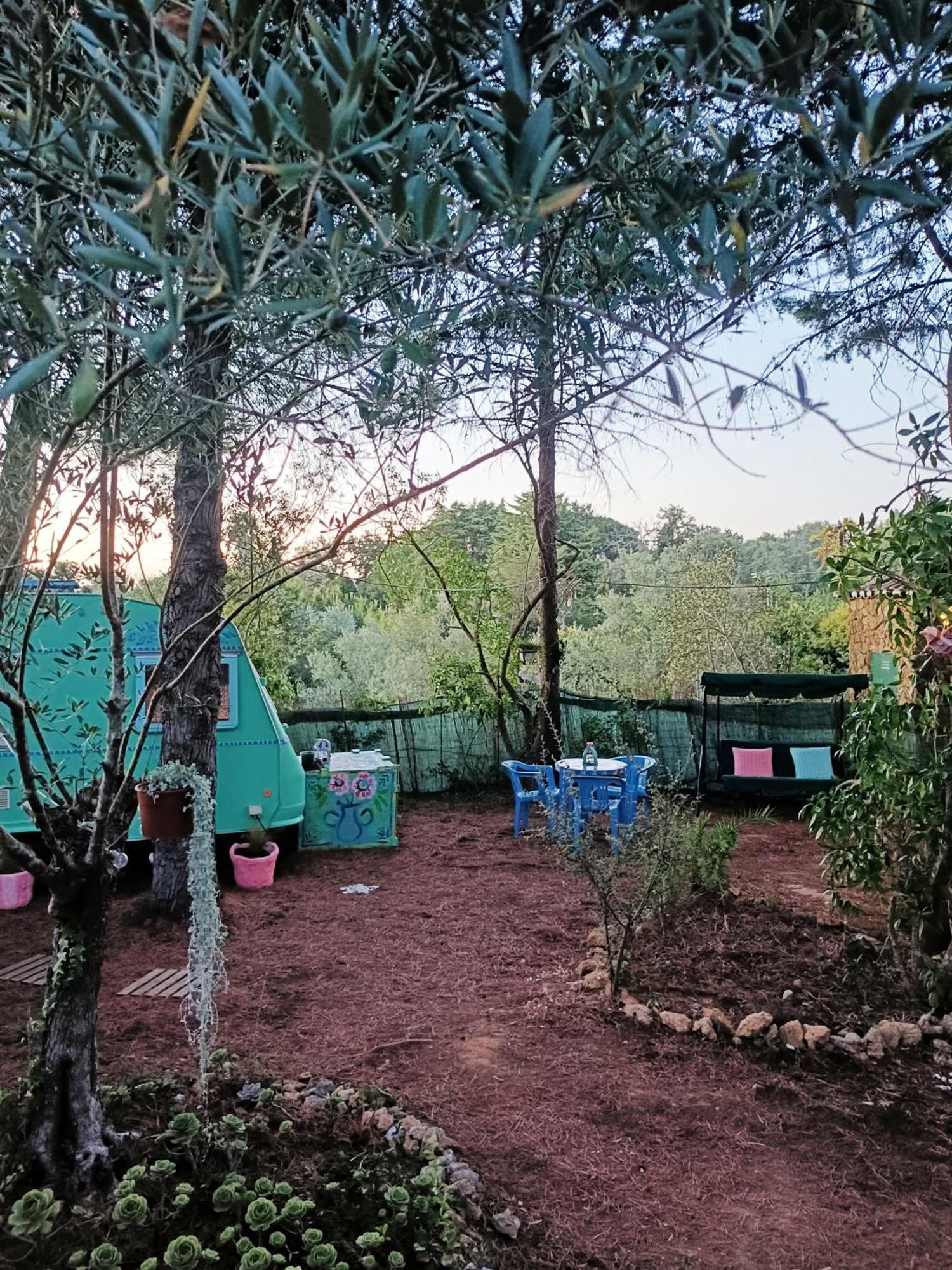 Ir Por Ai Arrabida Hotell Azeitao Exteriör bild